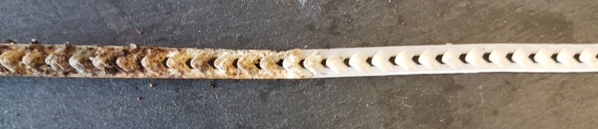 biodegradable rapstrap below and above ground